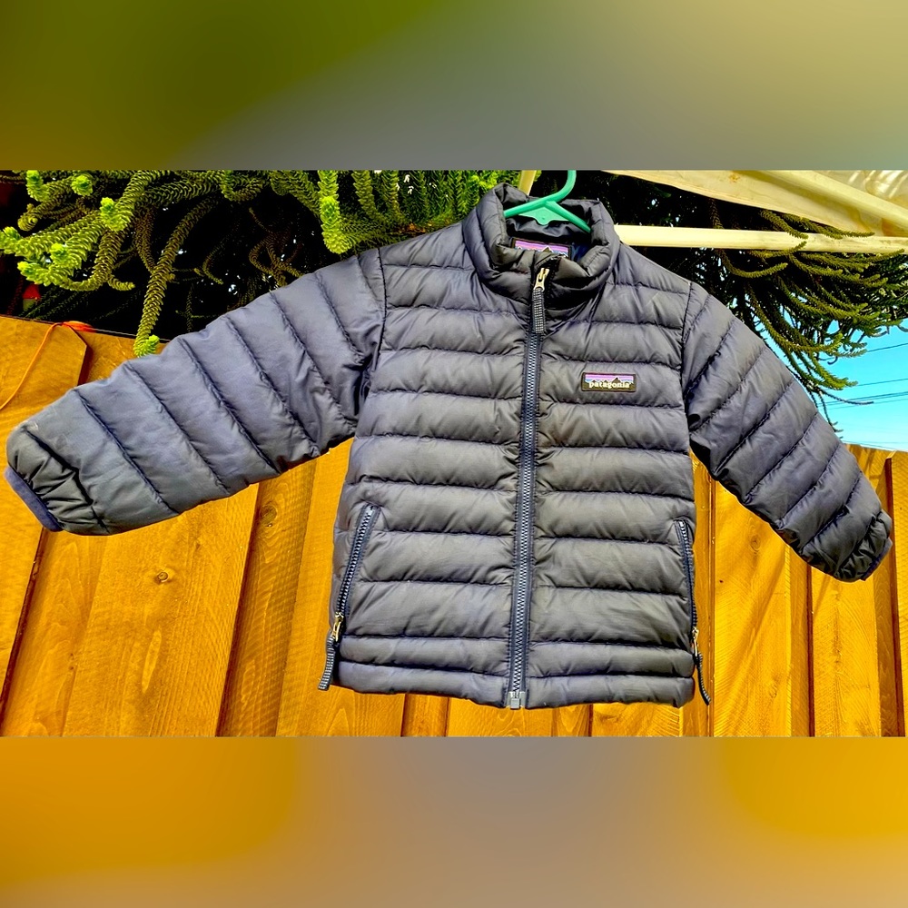 Patagonia down sweater/jacket
